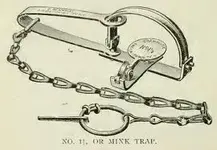 trap.webp