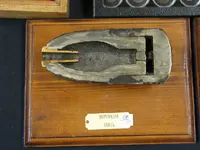 shell_halfsection_Hotchkiss_3.0inch_Common-shell_Type2_photobyPoche_Nashville2008.webp