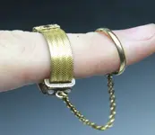 gold leash1.webp