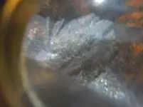 DSCN0559.webp