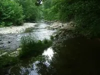 phpHiAavBAM.webp