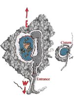 Estimated Cave Layout 1.jpg