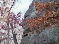 19235_1207908847062_5671399_n.webp