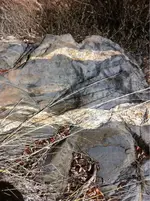 image-3636830086.webp