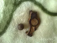 2409201210895.webp