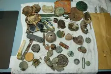 Money Case (1).webp