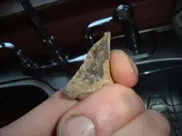 DSCF0424.webp
