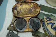Money Case (2).webp