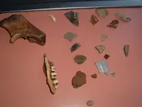 DSCF0425.webp