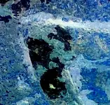 negsnake1BcropLG.webp