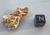 Nice Nug.webp