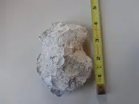 24282_528173280561471_1026800949_n.webp
