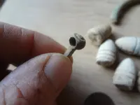 Metal Detecting 2013 158.webp