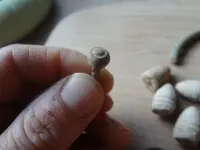 Metal Detecting 2013 159.webp
