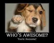 A-awesome-back.webp