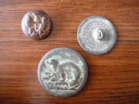Bestbuttons 002.webp