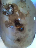 image-1757609657.webp