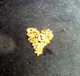 Gold Heart.jpg