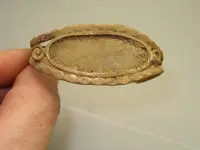 HPIM2441.webp