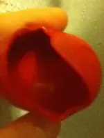 image-1278360541.webp
