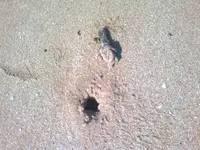 03122012204.webp