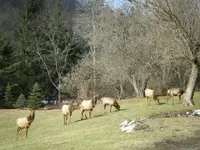 DSCF4471.webp