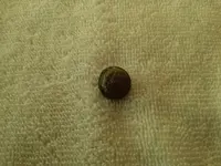 0120132052c.webp 0120132052c.webp