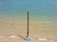 380726_3337424346812_775015729_n.webp