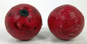RED MARBLES 1.webp