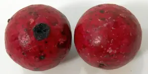 RED MARBLES 4.webp