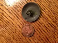 button1back.webp