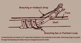 breeching dee.webp