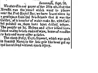 colibri, 1813 2.webp