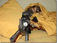 DO NOT ENTER--GAURD DOG.webp