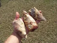 100_8943.webp