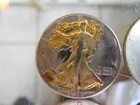 DSCN6128.webp