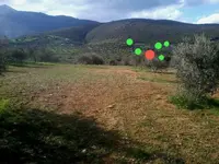20130226152357-kapla.webp
