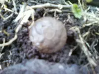 0302031246 (1).webp