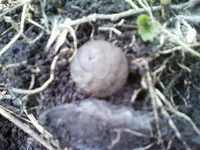 0302031249.webp