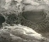 strange rock sandy river.webp