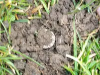 100_0265.webp