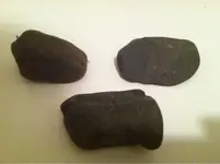 image-3224418226.webp