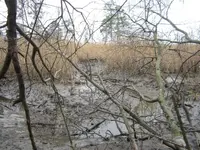 030213e.webp
