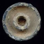 Exploding Bullet2.webp
