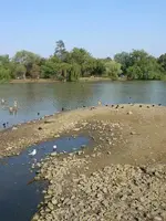 lake.webp