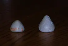 Unidentified Cones.webp