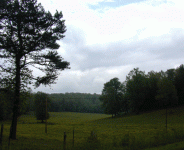 CrDSCN0664.gif
