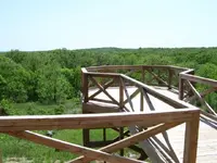 BackYard 003c.webp