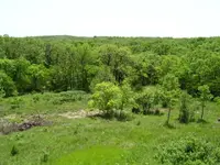 BackYard 005c.webp