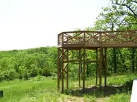 BackYard 014c.webp